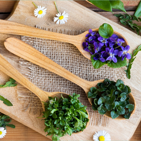Herbs and flowers in wooden spoons, symbolizing therapeutic approaches that promote well-being and holistic health.