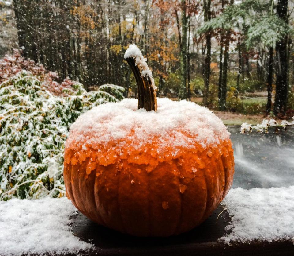 Pumpkin in Snow - stuffed pumpkin recipe