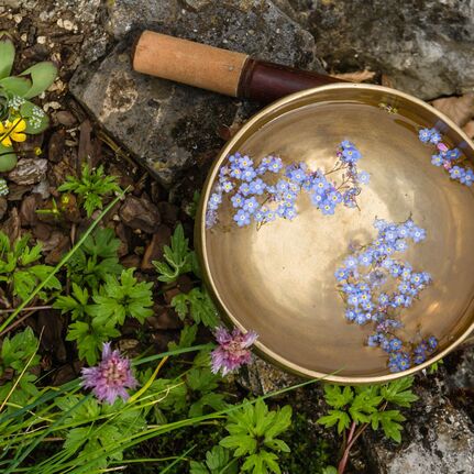 A singing bowl with flowers, representing workshops that explore sound healing and mindfulness practices.